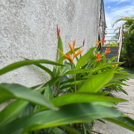 Cosy 2 Bedrooms Apts In Pereybere -Seasons Break Apartment Pereybere Beach Exterior foto